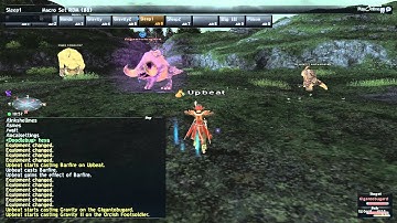 FFXI RDM Macro Explanation(Commentary)