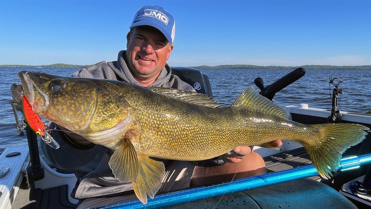 Trolling Walleye with Leadcore, Complete Guide