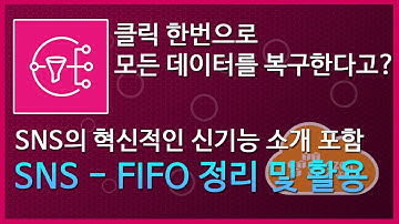 (LV.200)혁신적인 신기능 소개 겸 정리합니다. SNS-FIFO 정리 및 활용