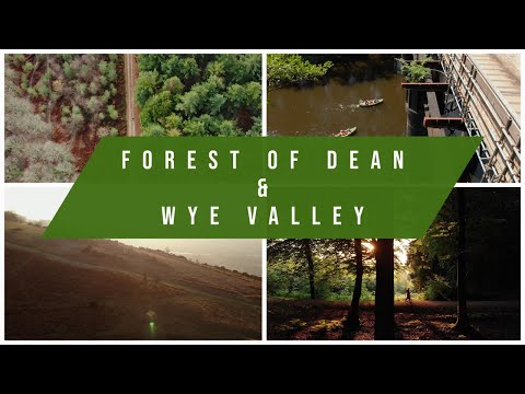 FOREST OF DEAN