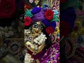 Shree Radha Radha #krishna​​​​​​​​​​​​ #govardhan​​​​​​​​​​​​ #vrindavan​​​​​​​​​​​​ #premmandir​​​​