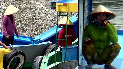 Em Gái Đi Sà Lan Tái Mặt Khi Gập Vỏ Lãi Chạy Ngược Chiều Qua cống | CNM