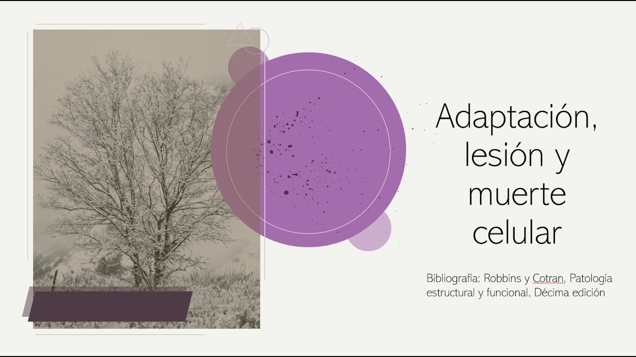 Entendiendo la fisiología - Adaptación, lesión y muerte celular