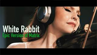 WHITE RABBIT- CRIMSON EVE- COVER- MATRIX - EPIC VERSION- JEFFERSON AIRPLANE