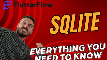 @FlutterFlow x SQlite