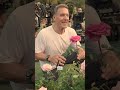 Arnold & Ralf shake up the PARKSIDE set | Behind the Scenes