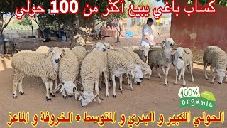 كساب عندو ‼️أكثر من100 حولي والخروفة والماعز نواحي تيفلت06.33.91.30.97🇲🇦📞 ألو سي نوردين