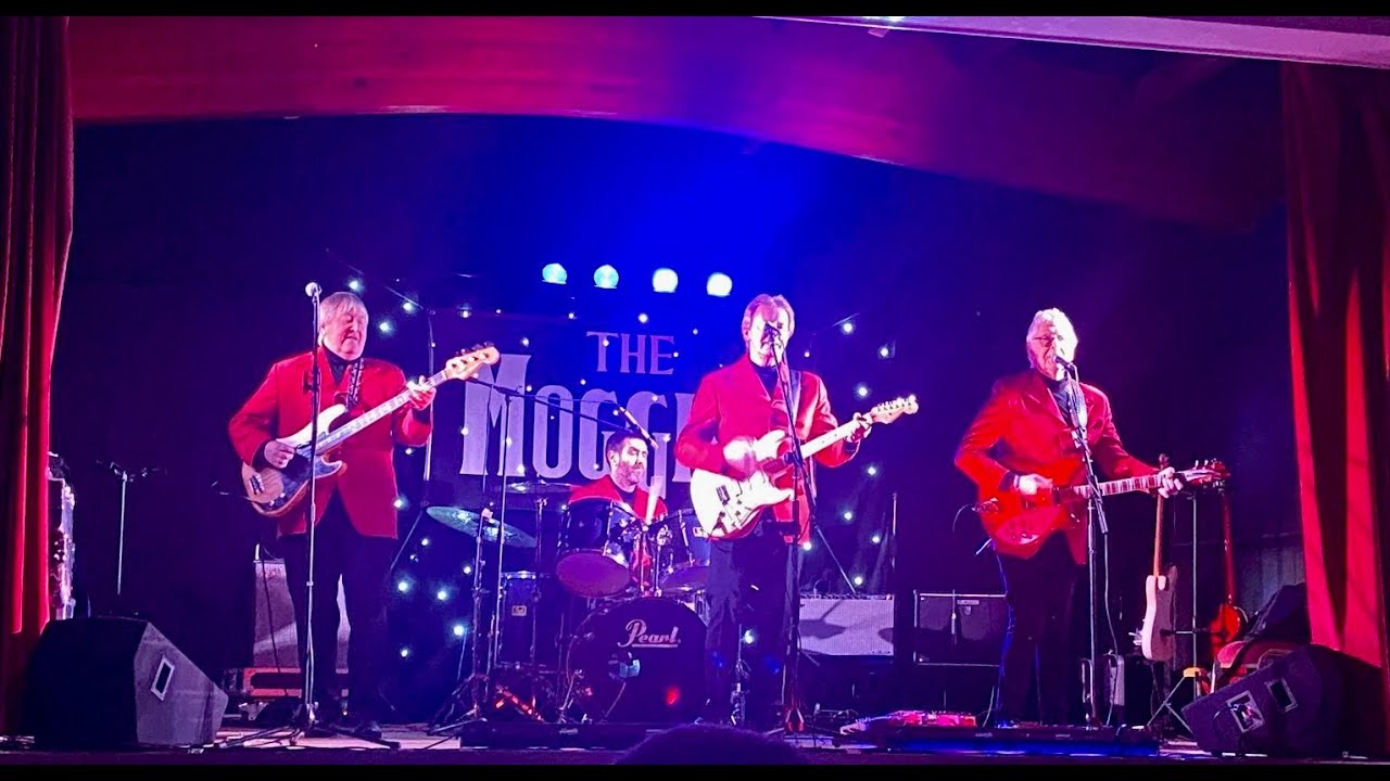 The Moggies - Review of 2024