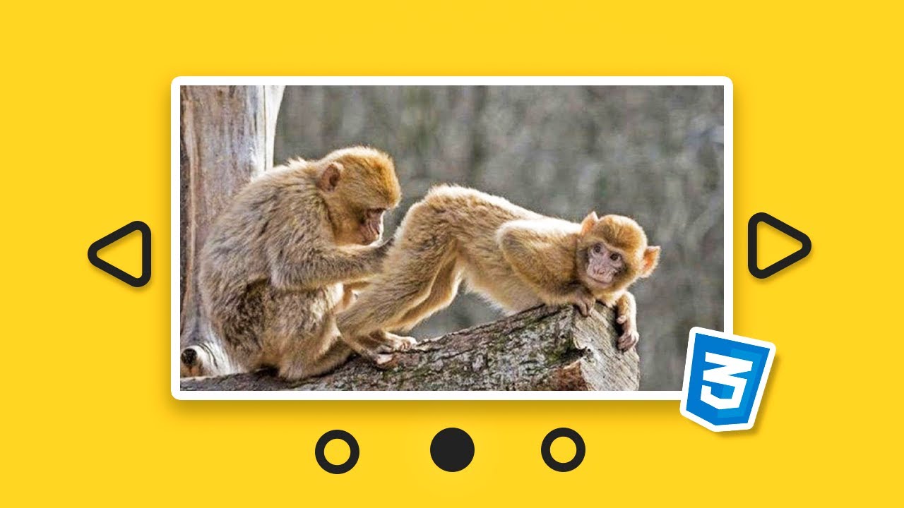 Build a Responsive Slideshow in CSS: A Step-by-Step Guide - YouTube