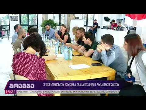 ელენე ხოშტარიას შეხვედრა არასამთავრობო ორგანიზაციებთან