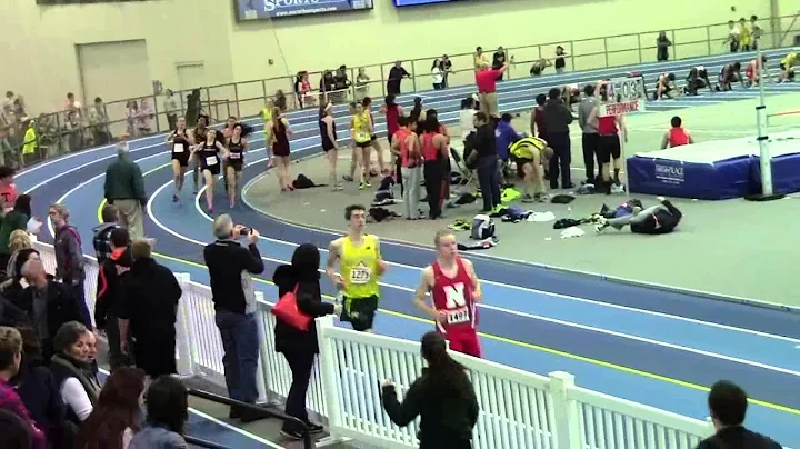 20150131 Hock 600m - Stier