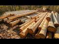 I seasoned 67 fir logs for my cabin project i ep 4