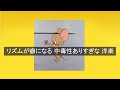 【playlist】リズムが癖になる 中毒性ありすぎな 洋楽 🎧chill mix【作業用】