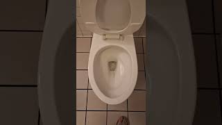 TOTO Eco Drake @ Panda Express, Poway, CA