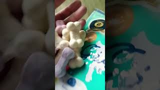 Paws N chews' freeze dried