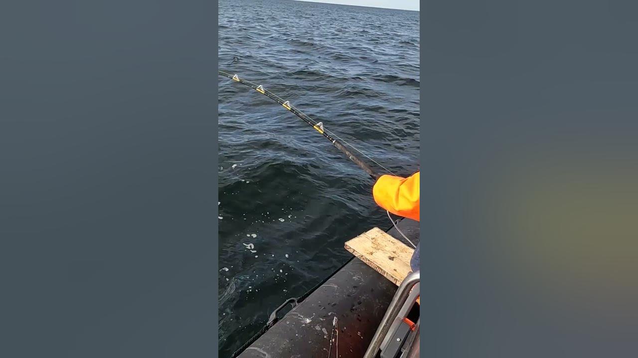 Рыба Северного МОРЯ - YouTube