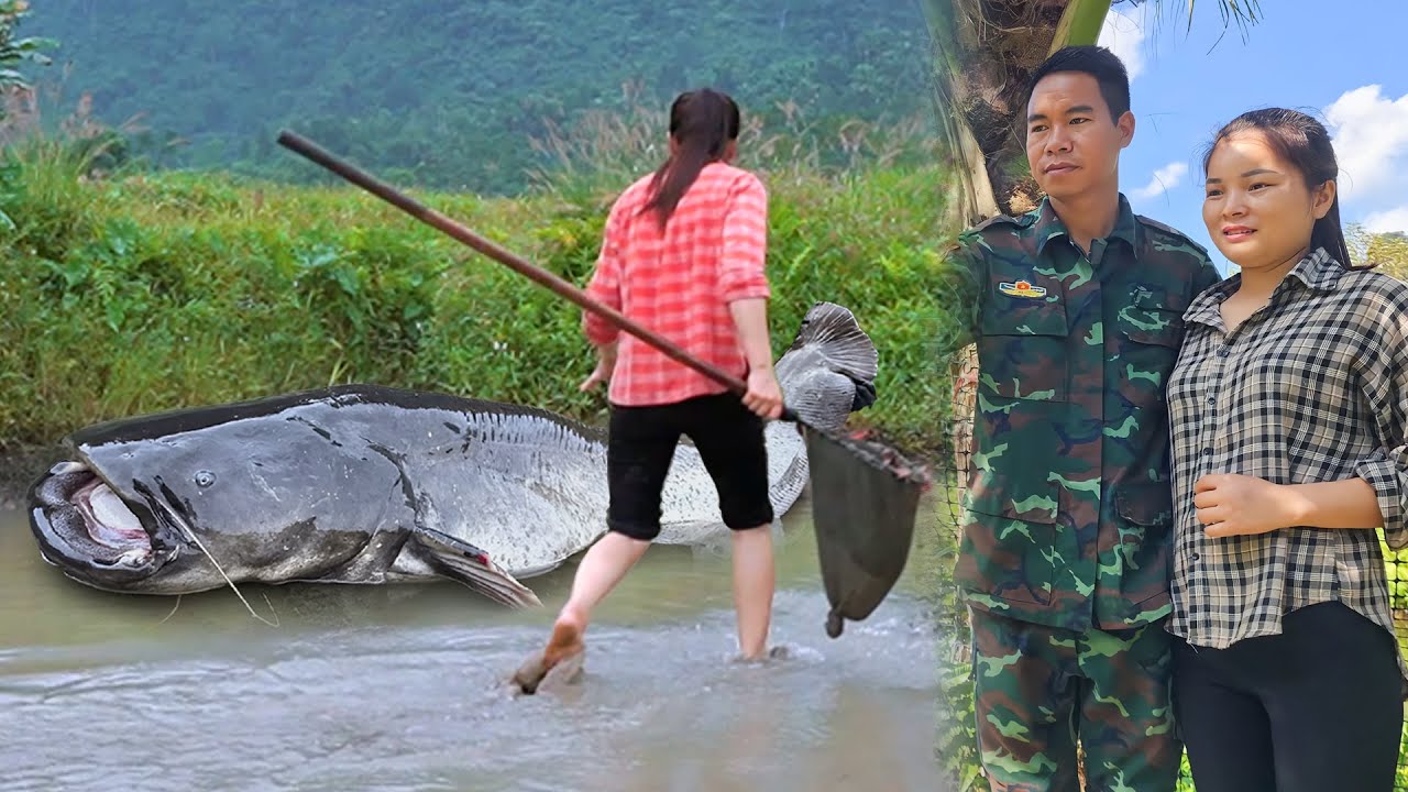 Happy couple caught a giant school of catfish by hand to sell and built a new bathroom together