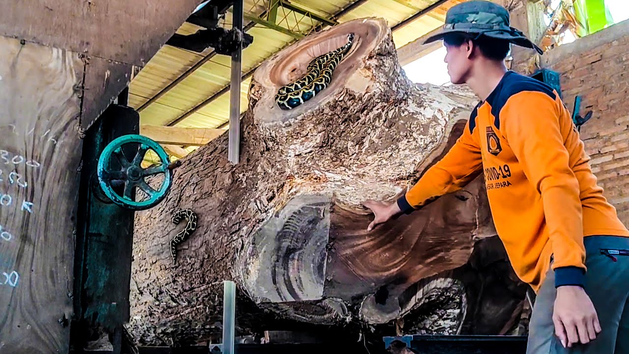 Dangerous Sawmilling! Cutting Massive Trembesi Logs Nearly Ends in ...