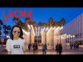 Exploring californias largest art museum lacma los angeles county museum of art  june 2022