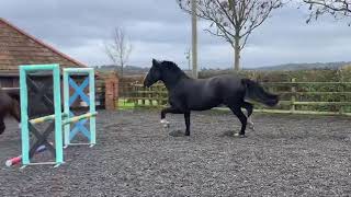 Ad ref 244339 Video 3