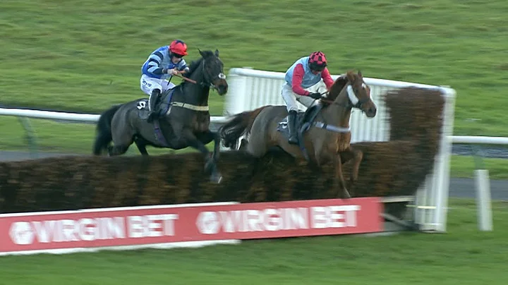 Do 100 1 horses ever win? (2023)