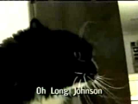 Oh Long Johnson 2.0. Check out the actual video @mycatso_cute #fypage , Cat Talking