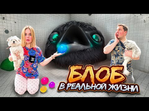 БЛОБ В РЕАЛЬНОЙ ЖИЗНИ В НАШЕМ ДОМЕ | КОШАЧЬЯ ИСТОРИЯ УЖАСОВ
