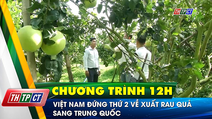 Trung thu việt nam ngày bao nhiêu năm 2024