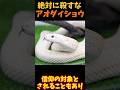 【ゆっくり解説】 家の守り神アオダイショウ
