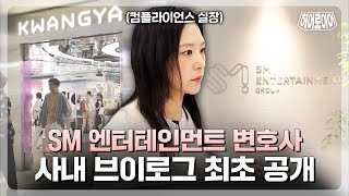 SM artists, I protect them! SM Entertainment's in-house lawyer V-log [Hero year]