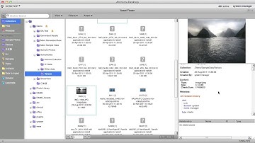Getting Started on Mediaflux 01: Mediaflux Desktop Overview