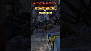 Mole rat brood mother vs Mutant hound#fallout4 #fallout