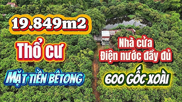 NHÀ VƯỜN 19.849m² THỔ CƯ – LA NGÀ, ĐỒNG NAI | 600 GỐC XOÀI, NHÀ CẤP 4, AO CÁ
