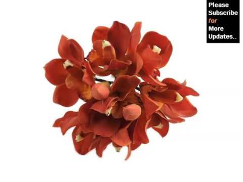 red-orchid-bouquet-|-collection-of-nice-and-rare-flower-images