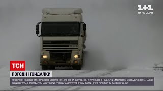 Різке потепління в Україні: чому може бути небезпечним та як урятуватися | ТСН 19:30
