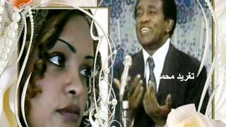 عثمان حسين - إن تريدي يا ليالي تسعدينا