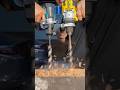MAKITA GPH01 40V AND DCD1007. MILWAUKEE M18 ONEFHIWF12 #tools4life #woodworking
