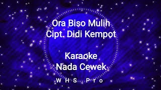 Ora Biso Mulih Karaoke Didi Kempot Nada Cewek (Karaoke Version)