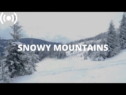 Arctic Blizzard Snowstorm in the Mountains | Howling Strong Wind Sounds for Sleeping (White Noise)