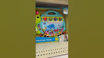 Vtech touch and teach sea turtle