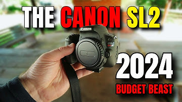 The Canon SL2: Budget Beast in 2024