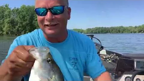 HOT Summer Crappie Fishing - High Rock Lake, NC