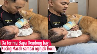 Download Lagu Ini Bikin ketawa! Cemburu sama Bayi, kucing malah nginjak Bocil Maksa minta Perhatian/Kompilasi Lucu MP3
