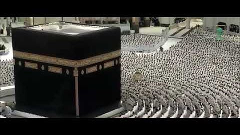 سورة الزلزلة بصوت الشيخ الوليد بن خالد الشمسان من الحرم المكي الشريف