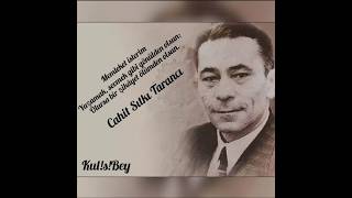 Nazım Hikmet , Cahit Sıtkı / Davet, Memleket İsterim #kulisibey #türkiye #şiir #atatürk #aşk #erlik