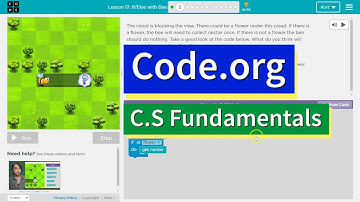 If / Else with Bee CS Express and Course D Lesson 11.2 - Code.org Tutorial with Answers