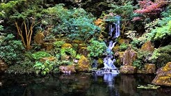 3 HOURS of The Best Relaxing music  | Bamboo Flute | For Meditation, Spa, Healing and  Sleep  - Durasi: 3:02:23. 