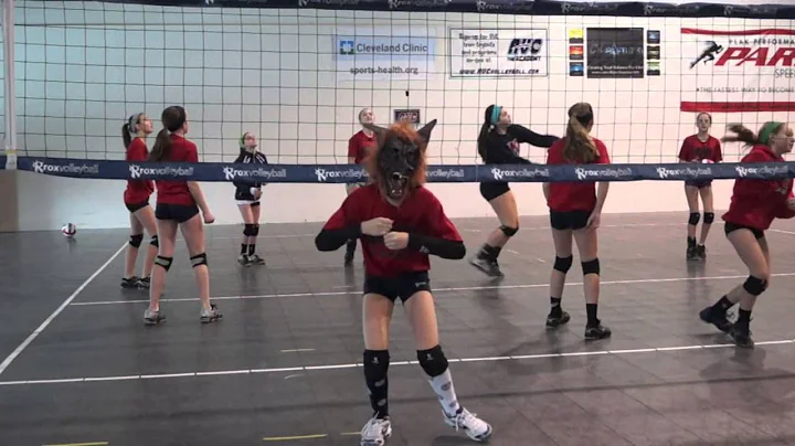 Harlem Shake - AVC 12 Elite - Marty's