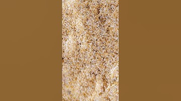 Houdini grain simulation.. #pop  #3d #satisfying #asmr #animation #simulation #art #music #houdini