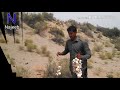 Collecting Desert Mushrooms | Achro Thar ki Khumbi | Safari Sahara